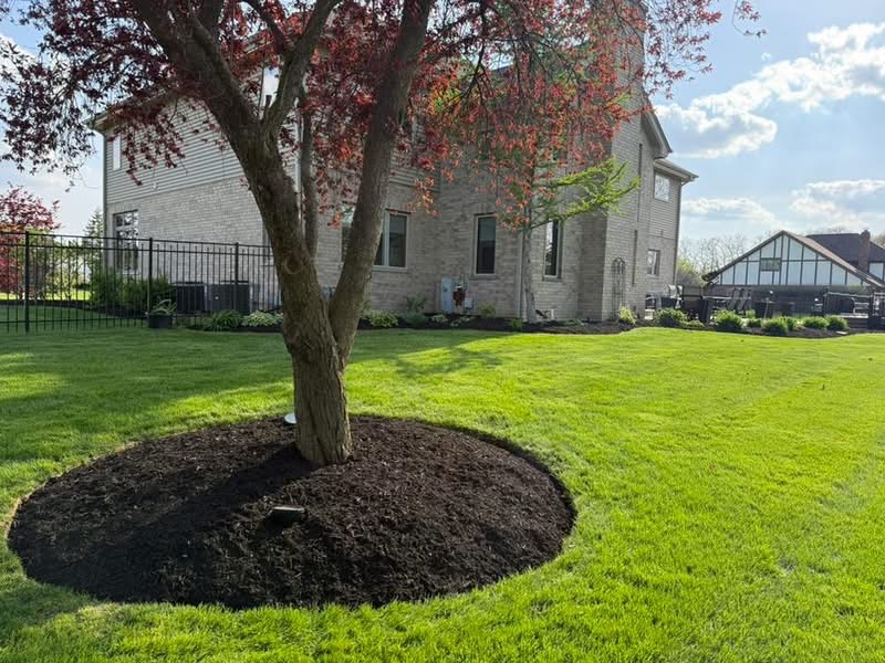 Landscape Design
