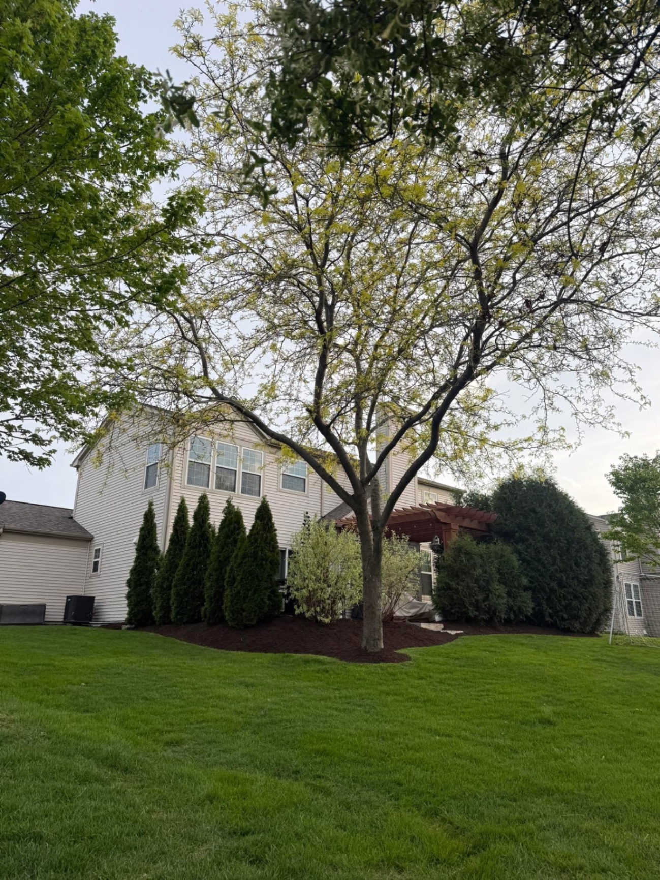 Landscape Design