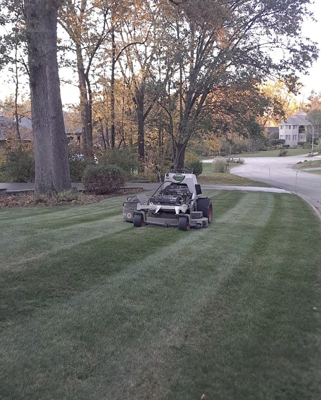 Lawn Care