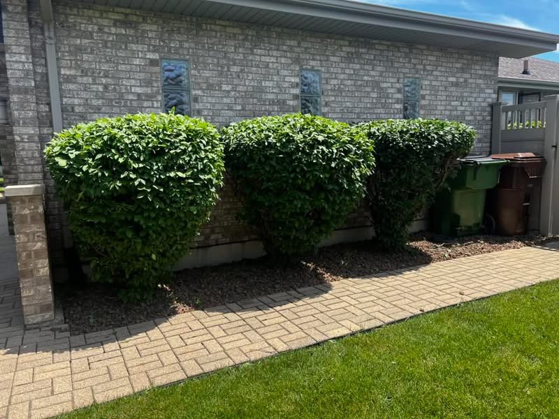Landscape Design