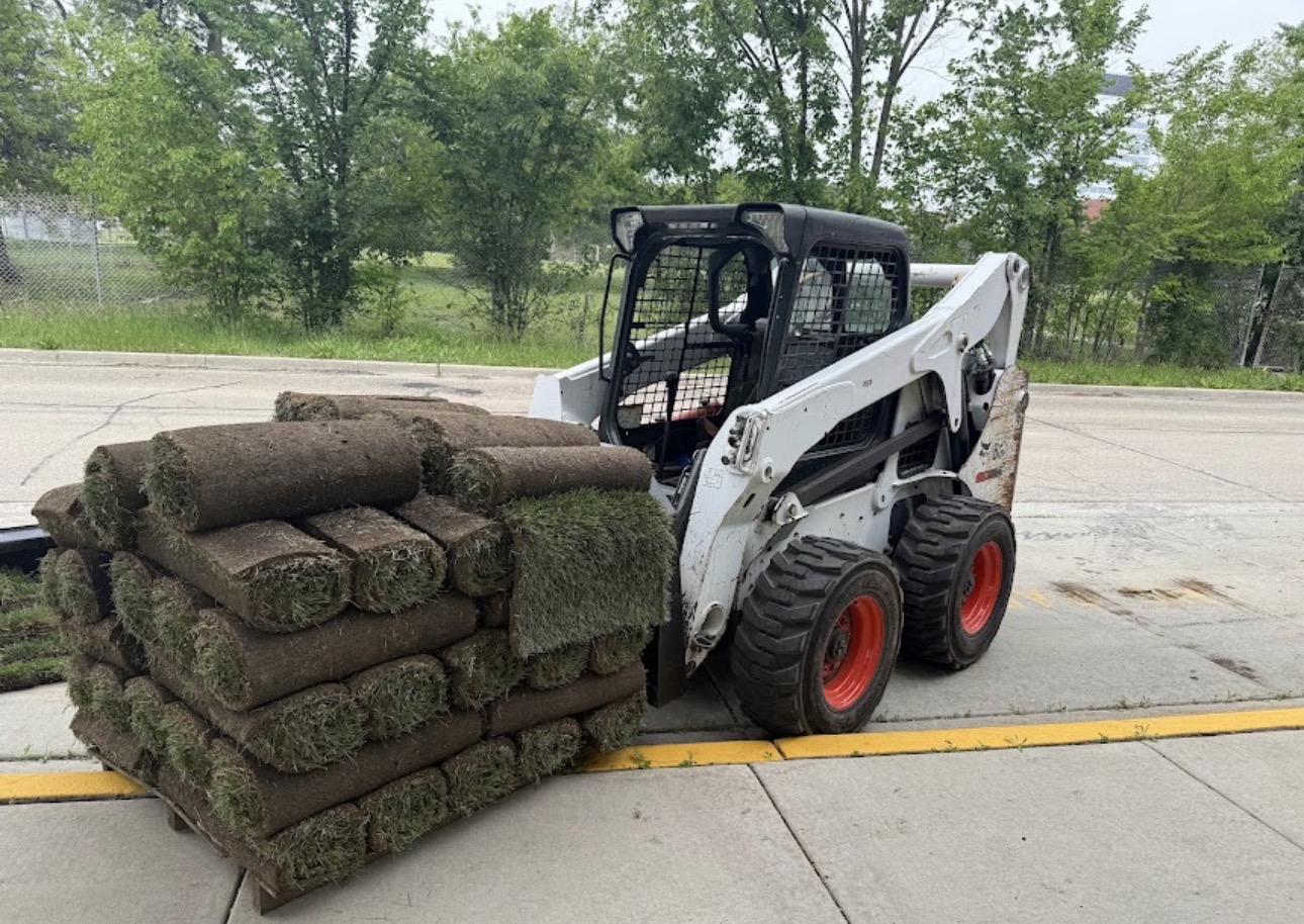 Sod Installation