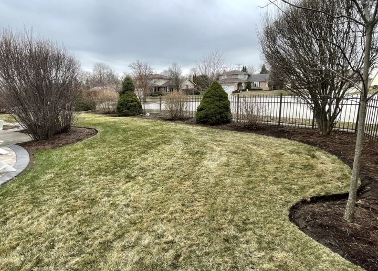 Spring cleanup service